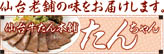 たんちゃん